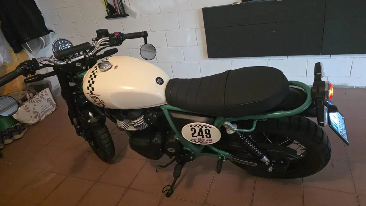 Royal Enfield Bear 650 (2025 - 26)  (6)