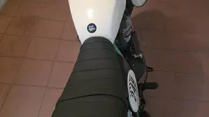 Royal Enfield Bear 650 (2025 - 26)  (7)