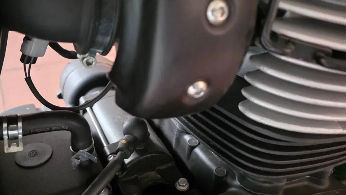 Royal Enfield Bear 650 (2025 - 26)  (15)