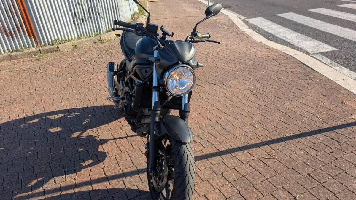 Suzuki SV 650 X (2018 - 20)  (3)