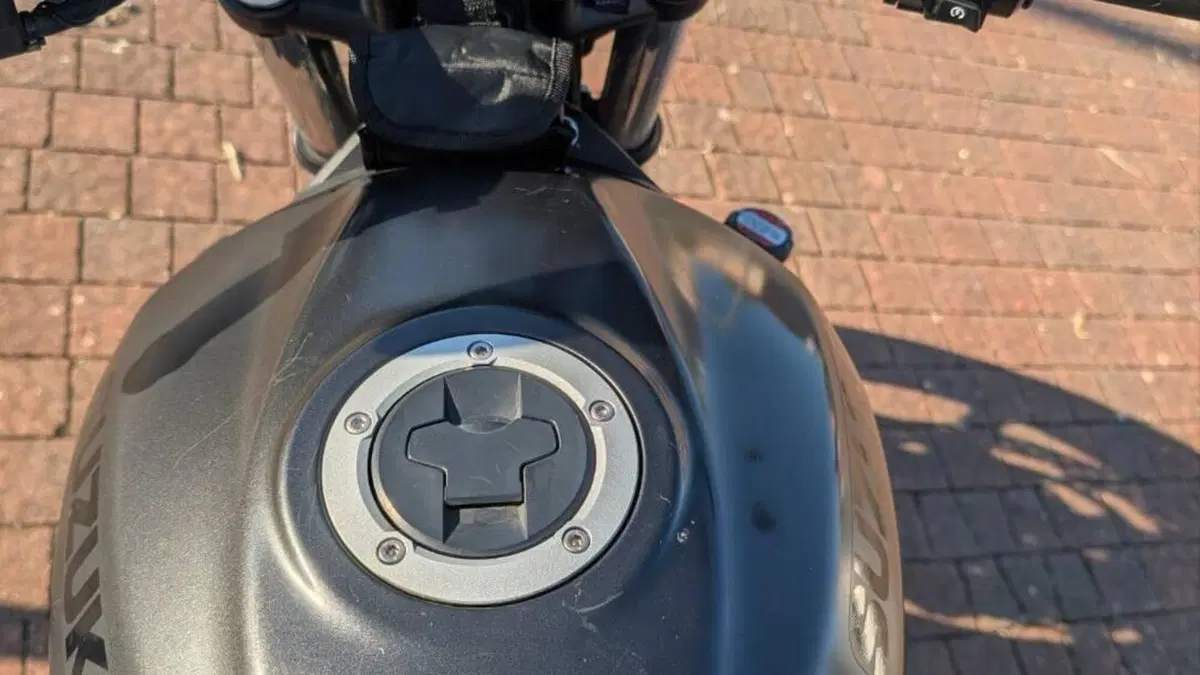 Suzuki SV 650 X (2018 - 20)  (7)