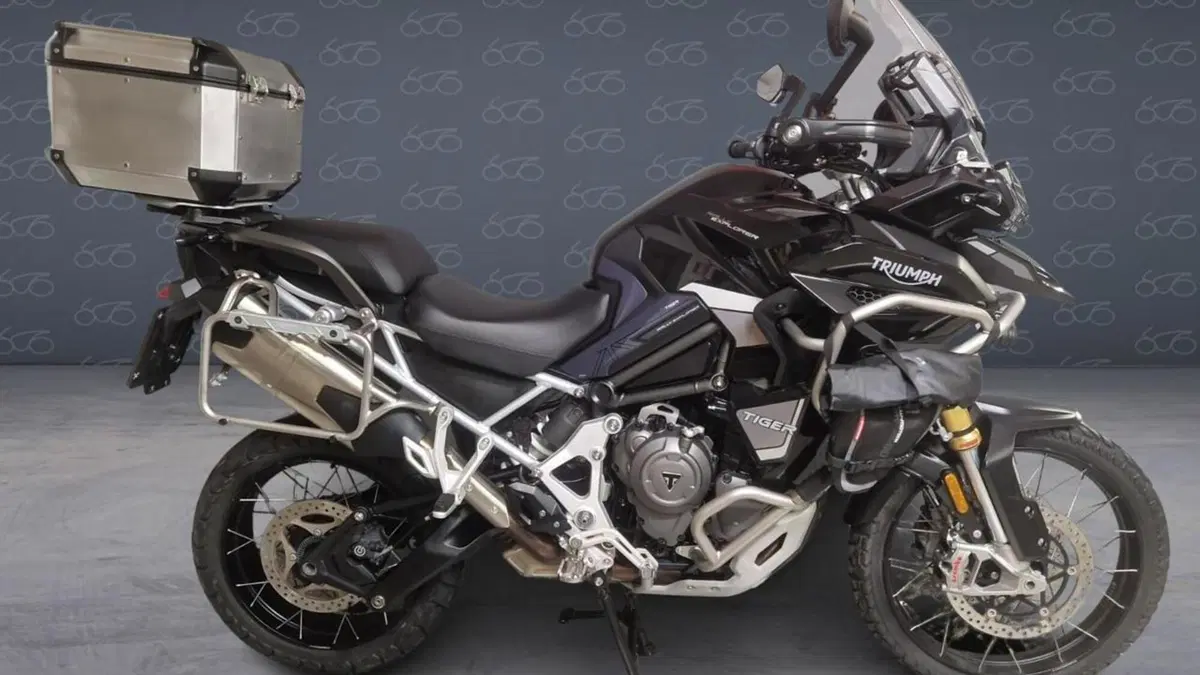 Triumph Tiger 1200 Rally Explorer (2022 - 23) 