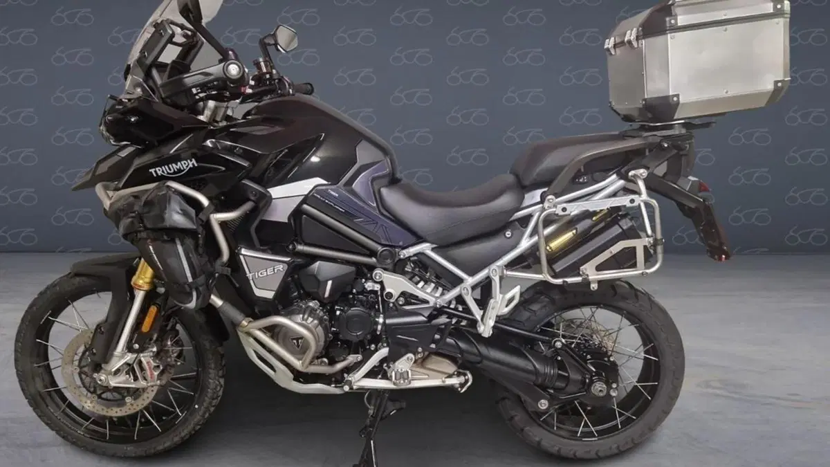 Triumph Tiger 1200 Rally Explorer (2022 - 23)  (5)