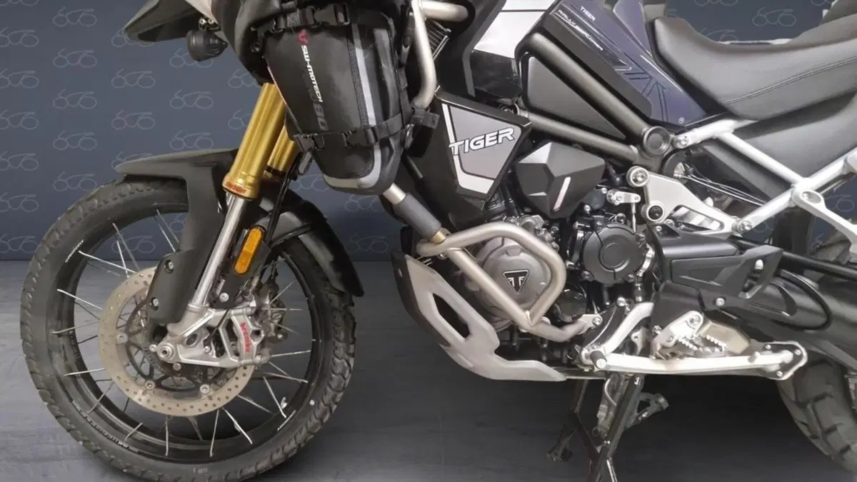 Triumph Tiger 1200 Rally Explorer (2022 - 23)  (7)