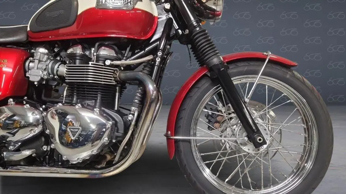 Triumph Bonneville T100 (2008 - 16)  (6)
