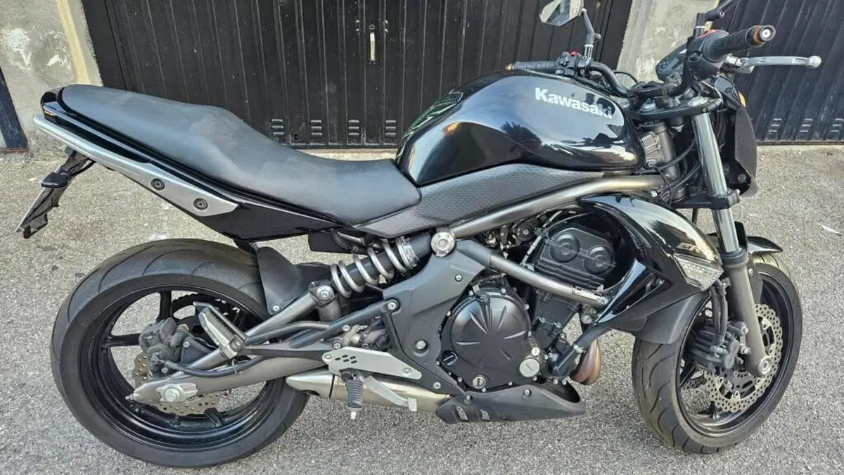 Kawasaki ER-6N (2009 - 11)  (2)