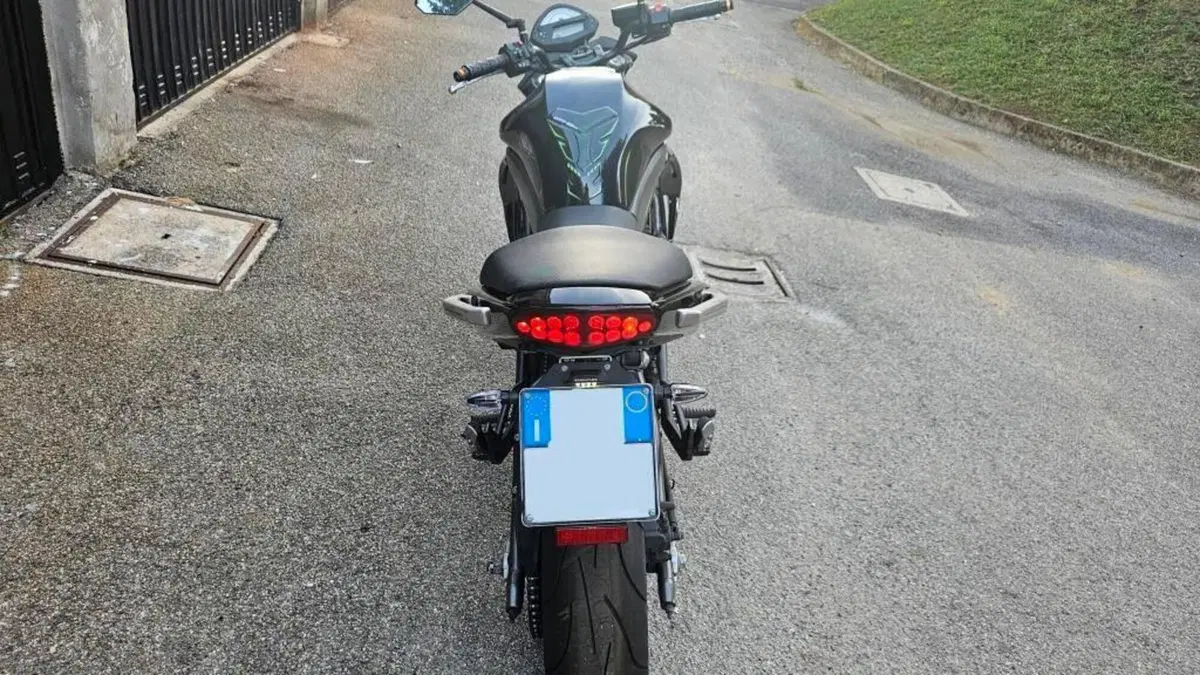 Kawasaki ER-6N (2009 - 11)  (4)