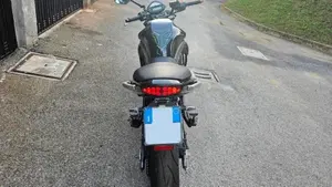 Kawasaki ER-6N (2009 - 11)  (4)