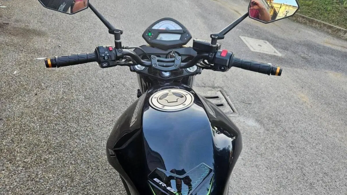 Kawasaki ER-6N (2009 - 11)  (5)