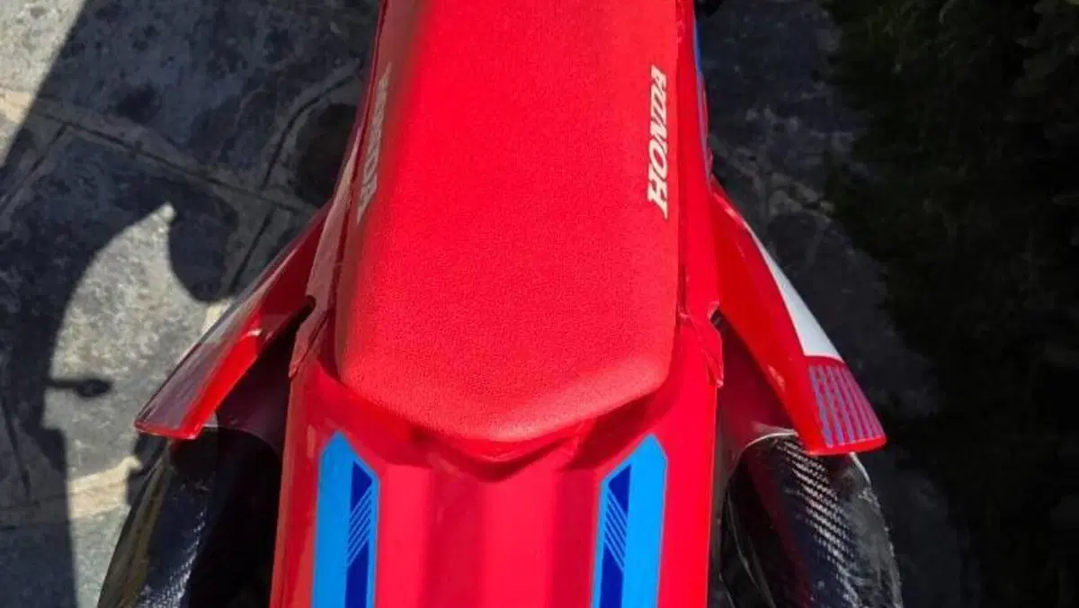 Honda CRF 300RX Enduro (2021)  (3)