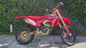 Honda CRF 300RX Enduro (2021)  (2)
