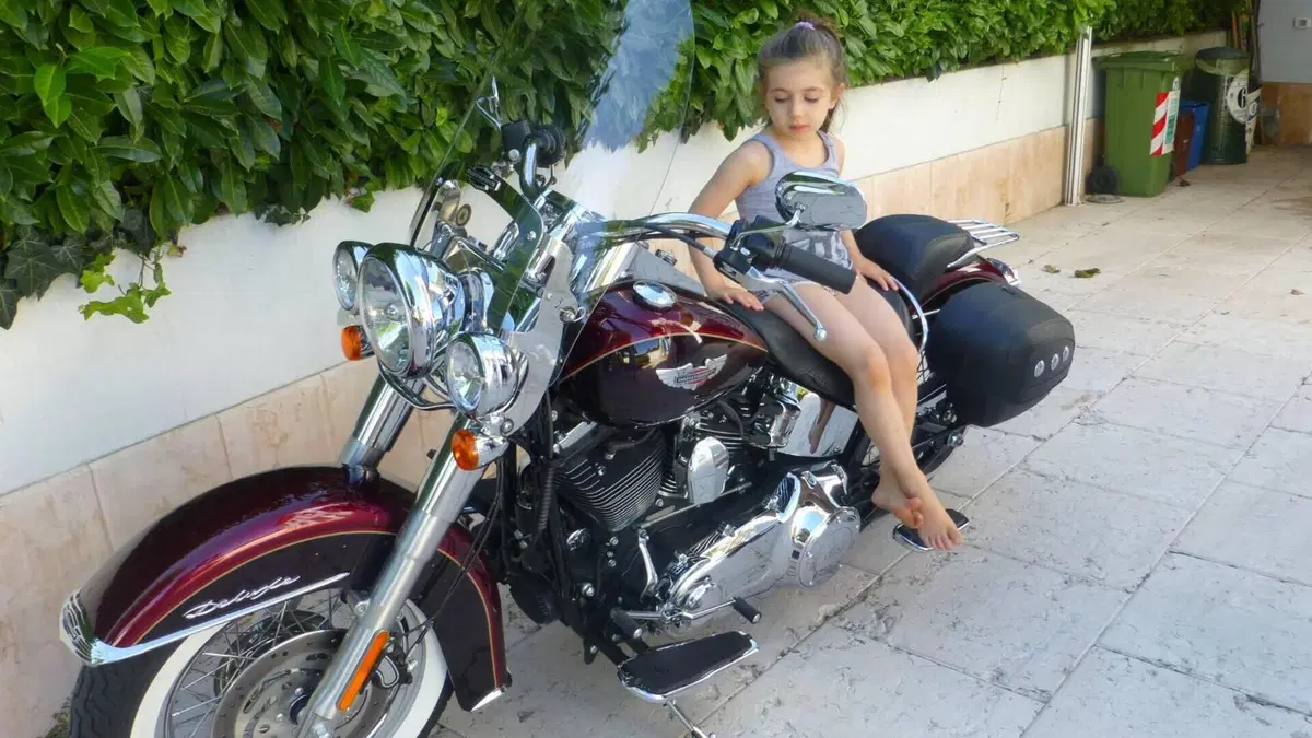 Harley-Davidson 107 Deluxe (2018 - 20) - FLDE  (2)