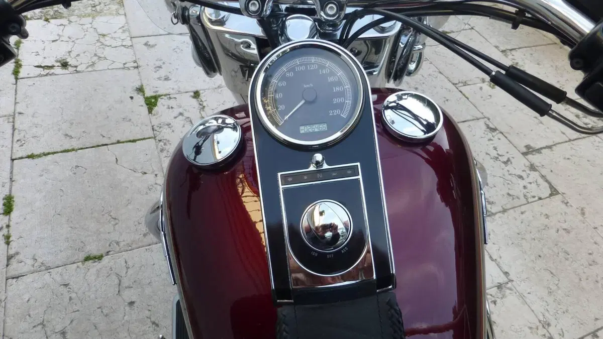 Harley-Davidson 107 Deluxe (2018 - 20) - FLDE  (4)