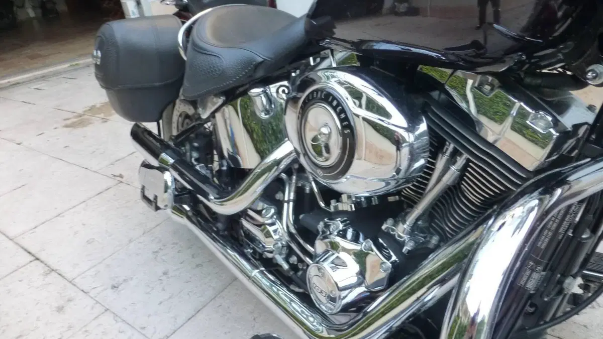 Harley-Davidson 107 Deluxe (2018 - 20) - FLDE  (5)