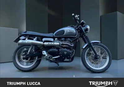 Triumph Scrambler (2006 - 17) - Annuncio 10120279