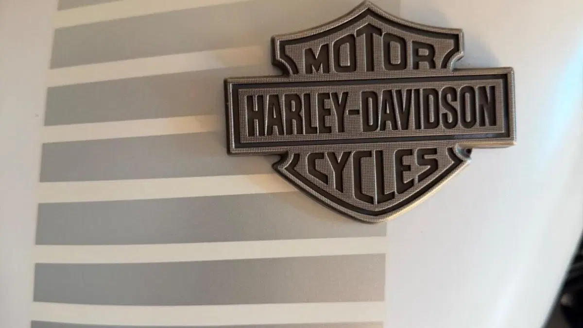 Harley-Davidson 1200 Forty-Eight (2016 - 20)  (4)
