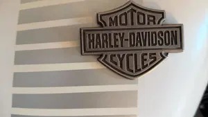 Harley-Davidson 1200 Forty-Eight (2016 - 20)  (4)