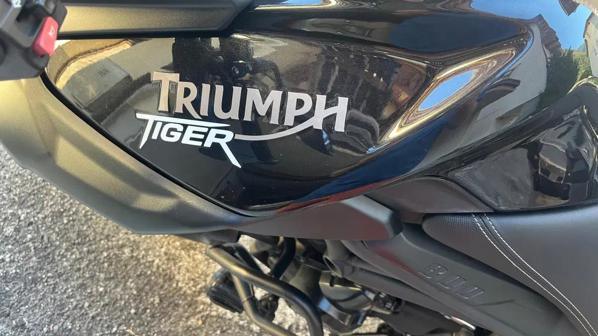 Triumph Tiger 800 ABS (2010 - 14)  (5)