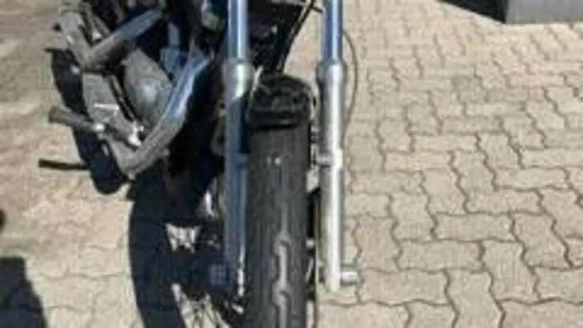 Harley-Davidson 1200 Custom (2004 - 06) - XL 1200C 