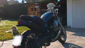 Moto Guzzi Bellagio (2007 - 14)  (3)