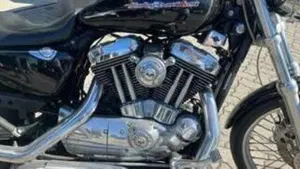 Harley-Davidson 1200 Custom (2004 - 06) - XL 1200C  (6)