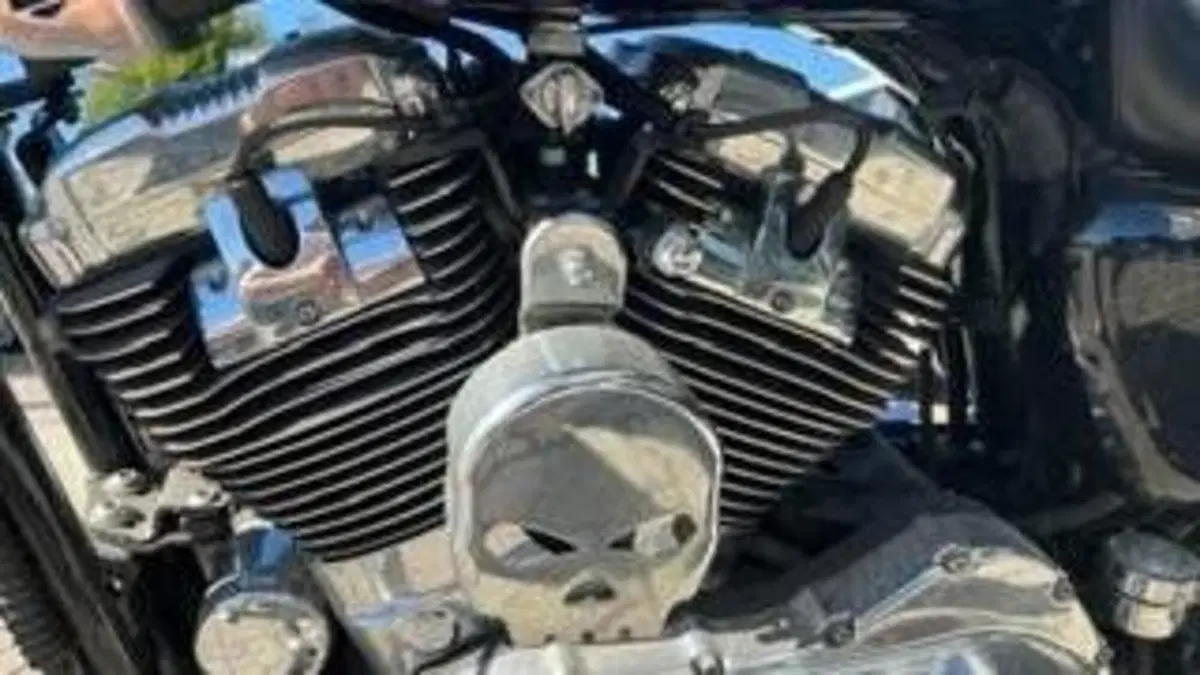 Harley-Davidson 1200 Custom (2004 - 06) - XL 1200C  (7)
