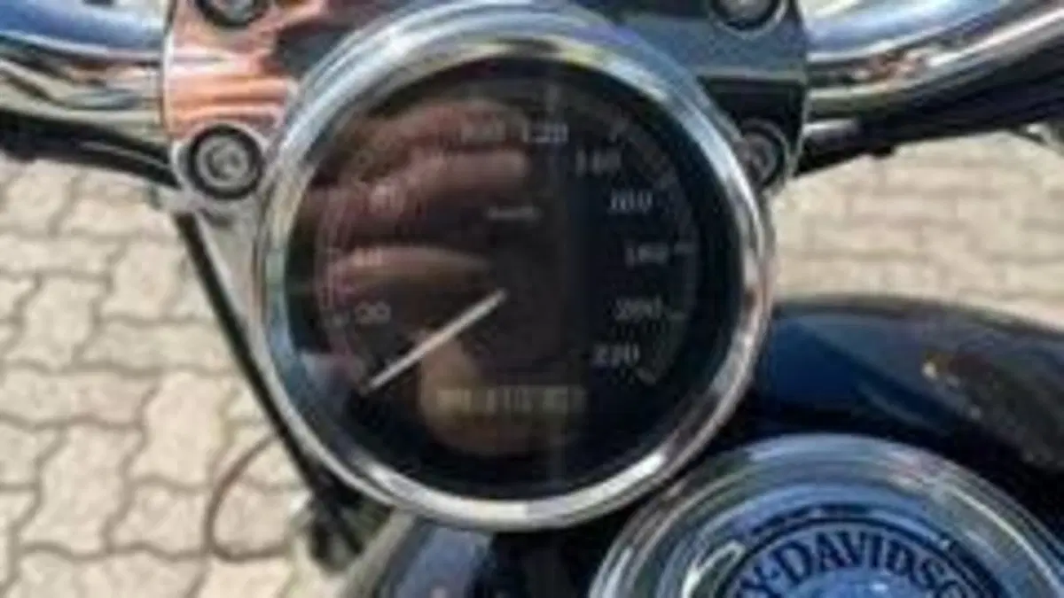 Harley-Davidson 1200 Custom (2004 - 06) - XL 1200C  (8)