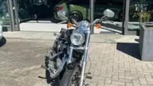 Harley-Davidson 1200 Custom (2004 - 06) - XL 1200C  (12)
