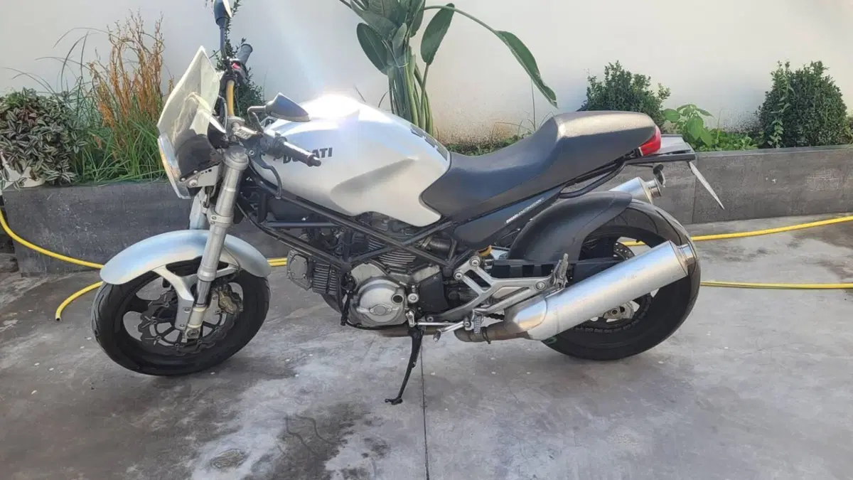 Ducati Monster 400 (2000 - 02)  (2)
