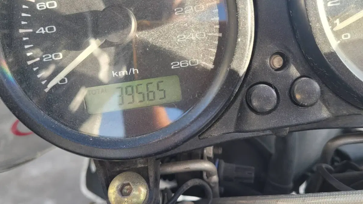 Ducati Monster 400 (2000 - 02)  (7)