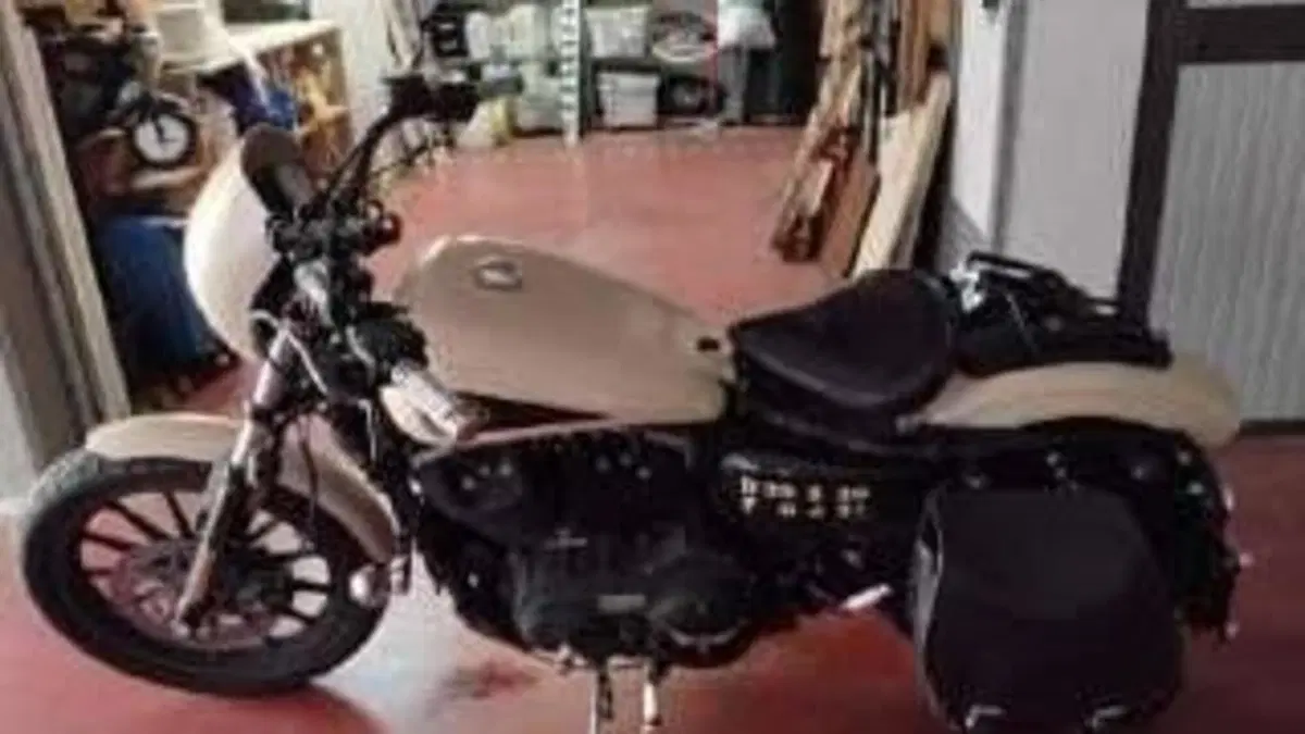 Harley-Davidson 883 Iron (2014 - 16) - XL 883N  (6)