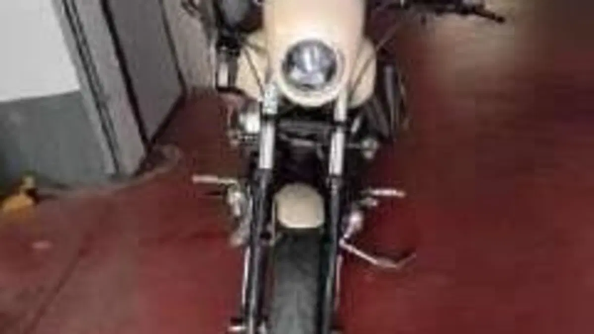 Harley-Davidson 883 Iron (2014 - 16) - XL 883N  (7)