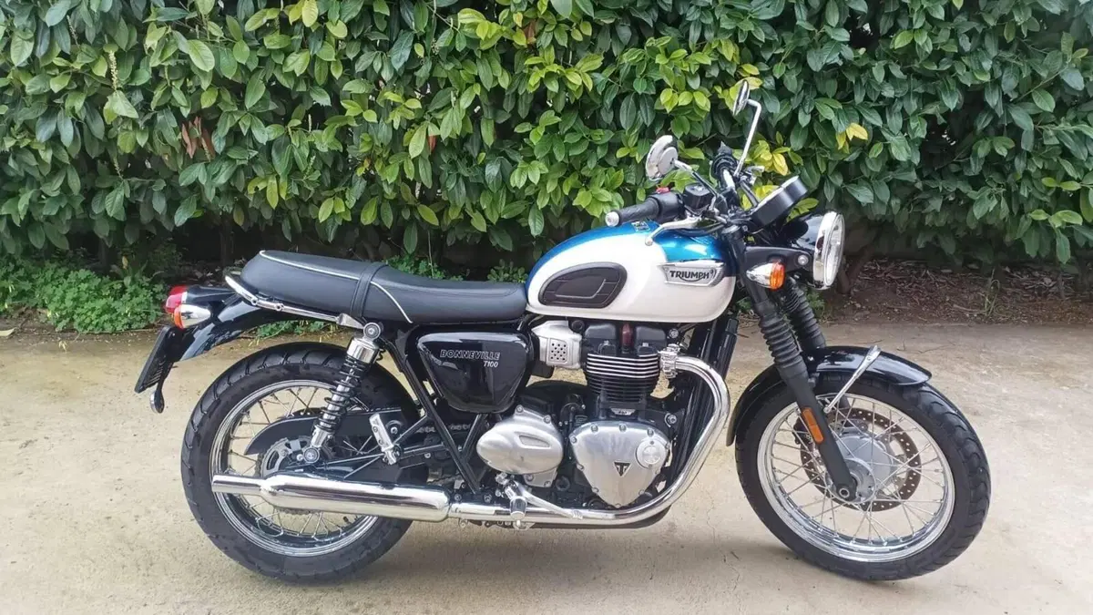 Triumph Bonneville T100 (2017 - 20) 