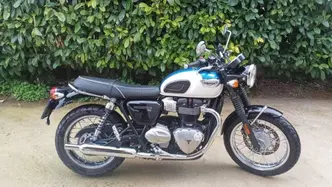 Triumph Bonneville T100 (2017 - 20) usata