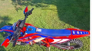 Betamotor RR 250 2T Enduro Race (2025)  (2)