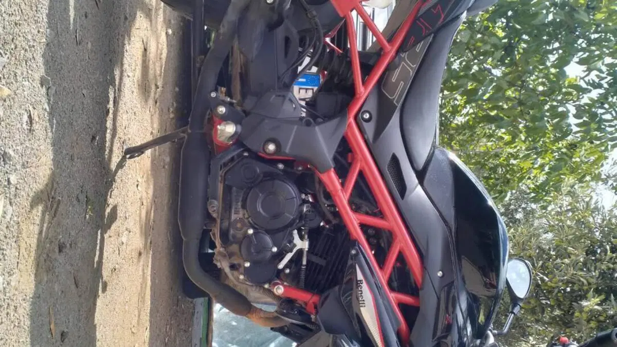 Benelli BN 125 (2021 - 25)  (6)