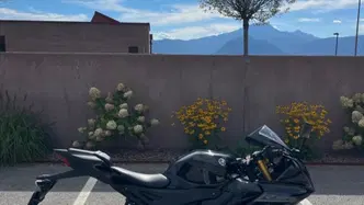 Yamaha YZF R125 (2023 - 26) usata
