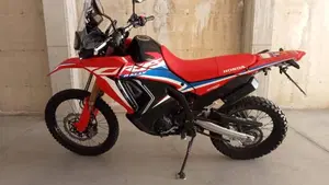 Honda CRF 300 Rally (2021 - 24)  (5)