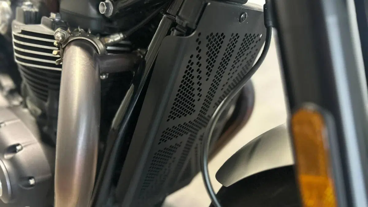 Triumph Speed Twin 1200 (2021 - 24)  (10)