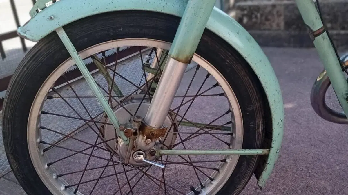Bianchi   (6)