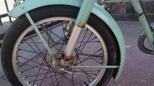Bianchi   (6)