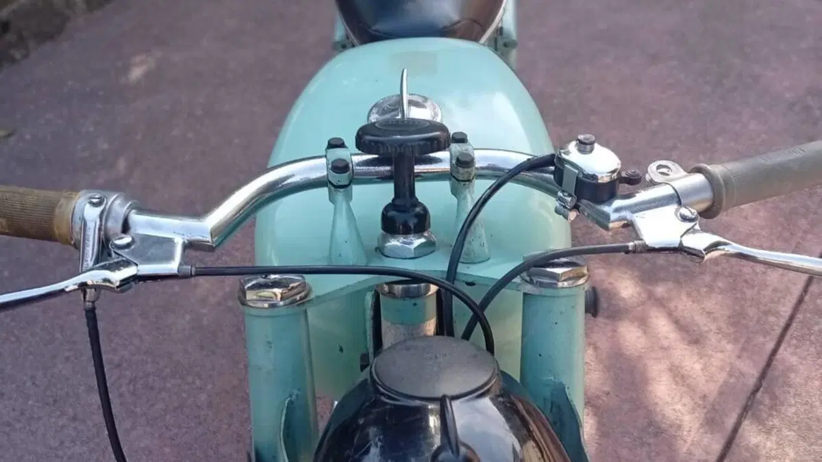 Bianchi   (13)