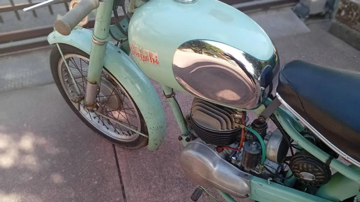 Bianchi   (15)