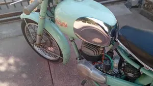 Bianchi   (15)
