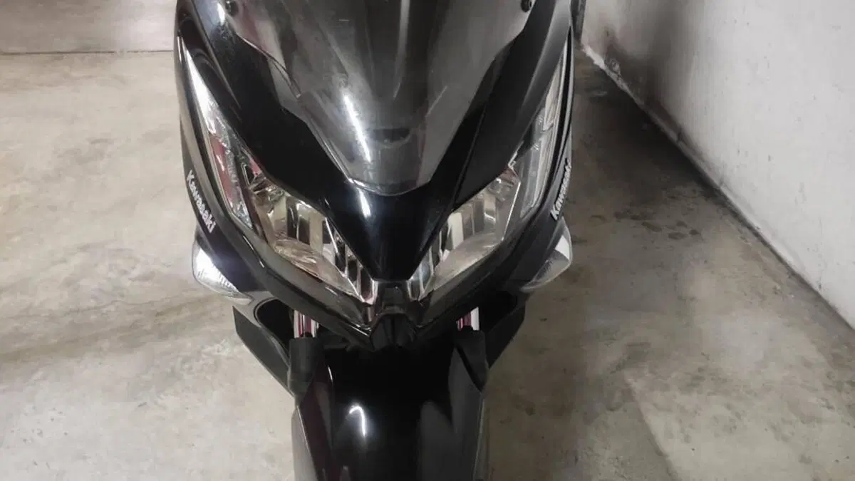 Kawasaki J 300 ABS (2014 - 16)  (2)