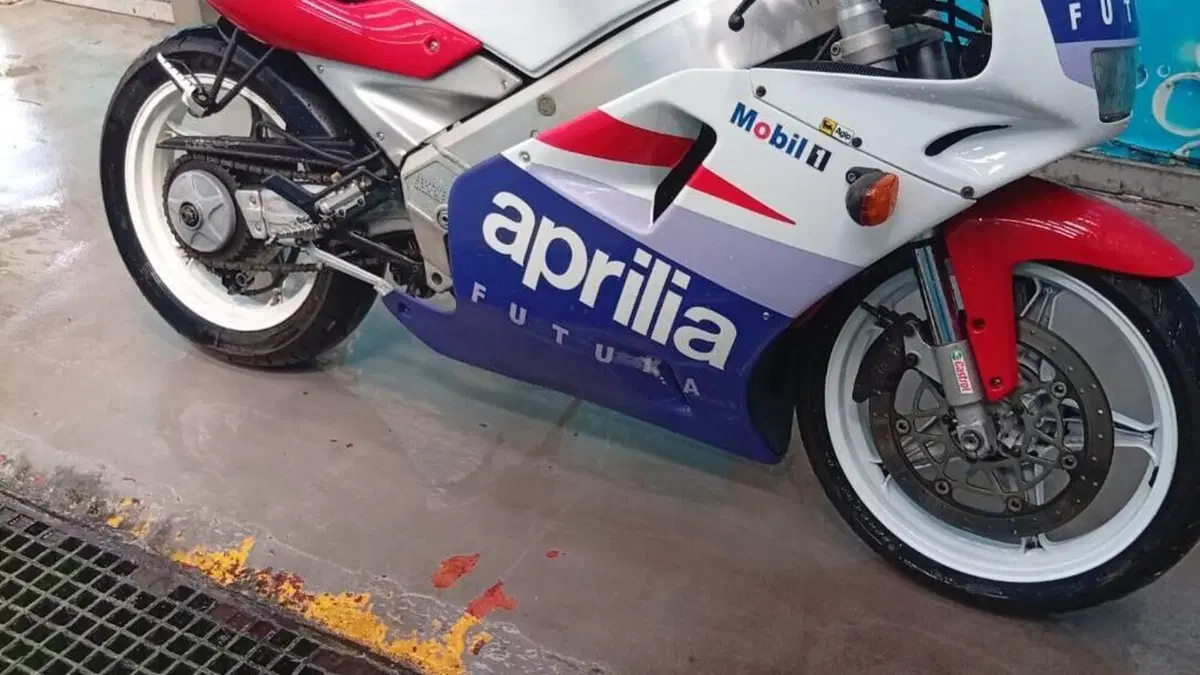 Aprilia   (17)