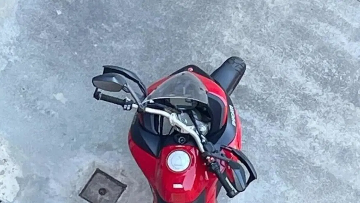 Ducati Multistrada 950 (2019 - 20)  (3)