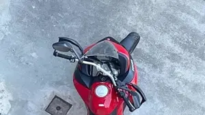Ducati Multistrada 950 (2019 - 20)  (3)