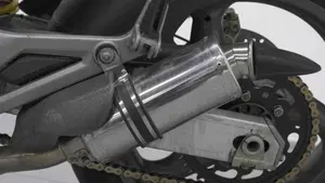 Ducati Monster 620 I.E (2002)  (5)