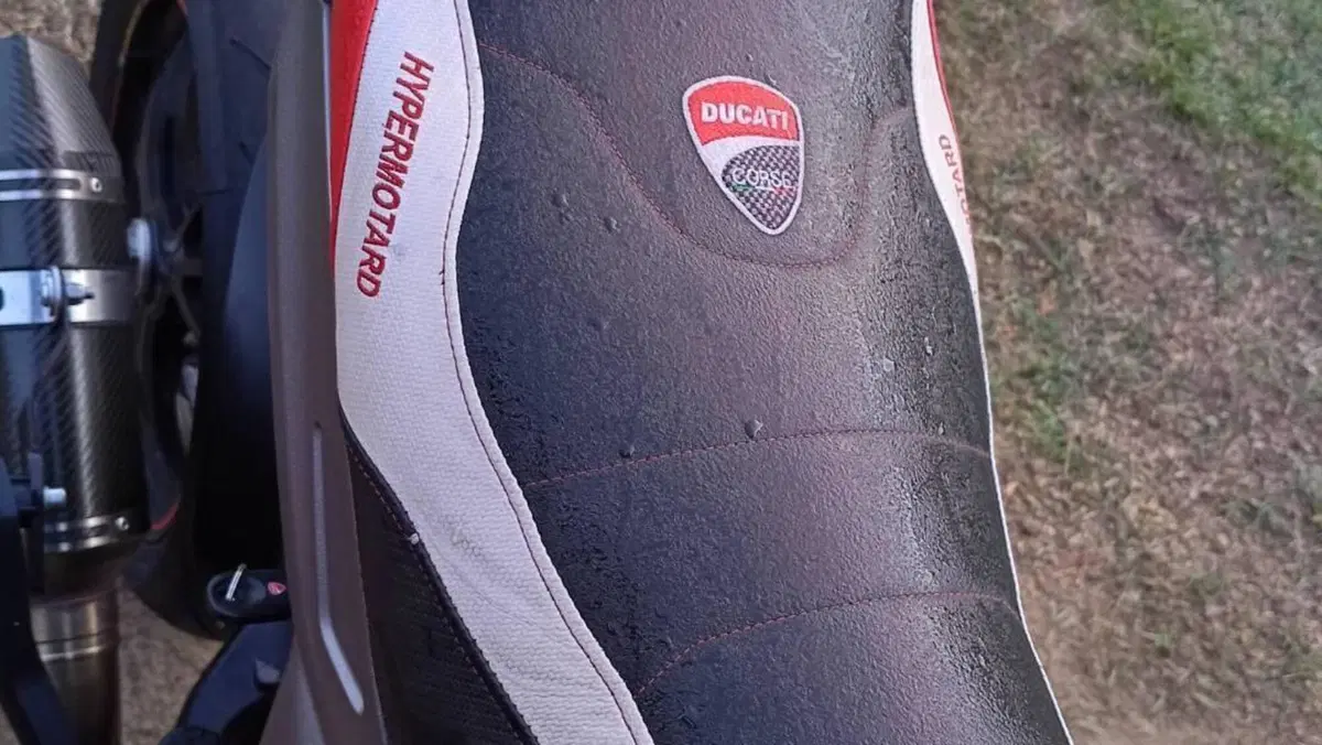 Ducati Hypermotard 939 SP (2016 - 18)  (11)